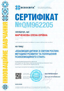 №QM962205