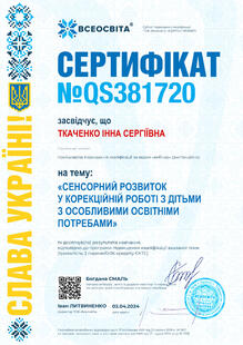 №QS381720