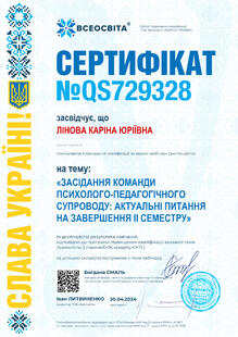 №QS729328