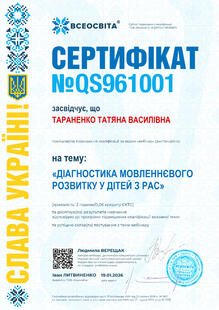 №QS961001