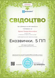 №QT616555