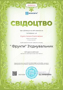 №QV060543