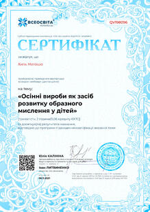 №QV198096