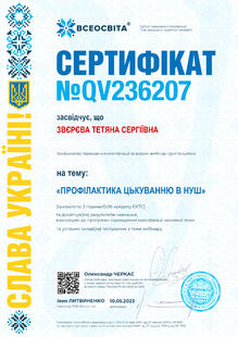 №QV236207