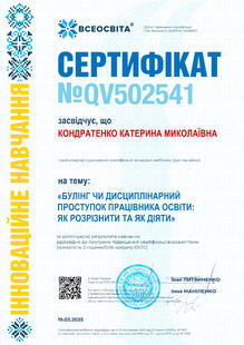 №QV502541