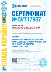 №QV717987