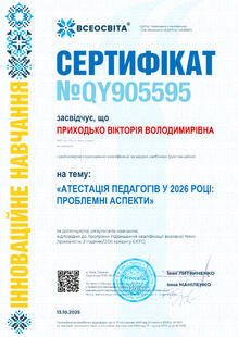 №QY905595
