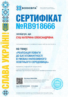 №RB918666