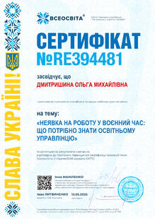 №RE394481