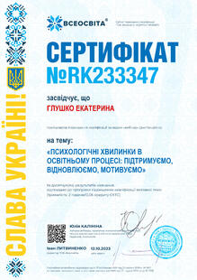 №RK233347