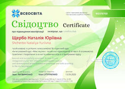 Сторона №1
