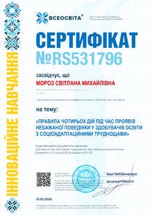 №RS531796