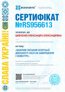 №RS956613