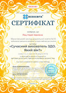 №RW381481