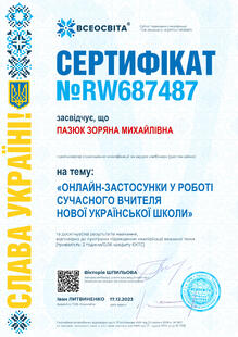 №RW687487