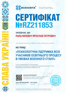 №RZ211853