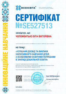 №SE527513