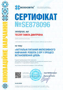 №SE878096