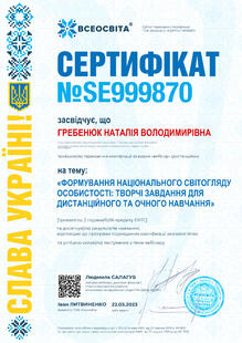 №SE999870