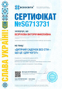 №SG713731