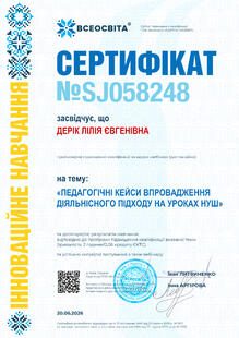 №SJ058248