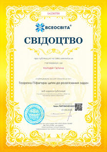 №SK236738