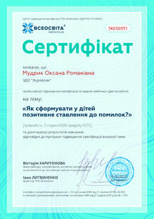 №SK656951