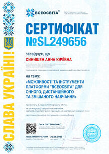 №SL249656