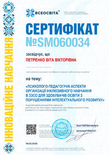 №SM060034
