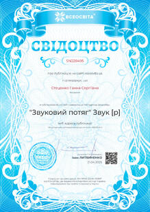 №SN228495