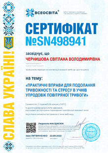 №SN498941