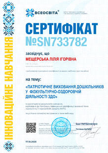 №SN733782