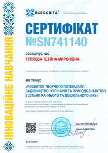 №SN741140