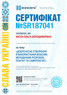 №SR187041