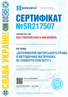 №SR217507