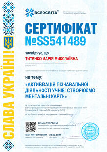 №SS541489