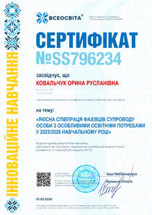 №SS796234