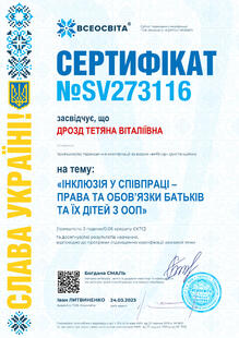 №SV273116