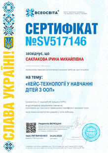 №SV517146