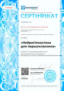 №SV999550
