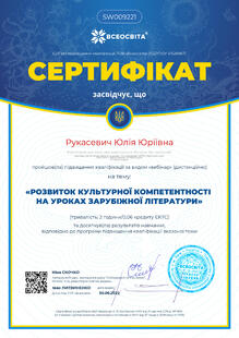 №SW009221
