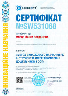 №SW531068