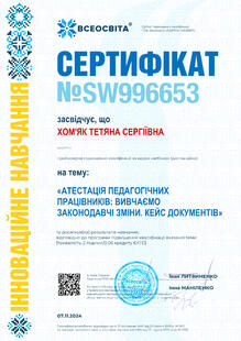 №SW996653