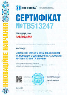 №TB513247