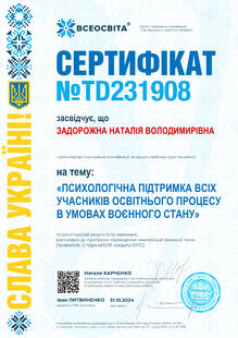 №TD231908