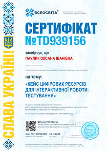 №TD939156