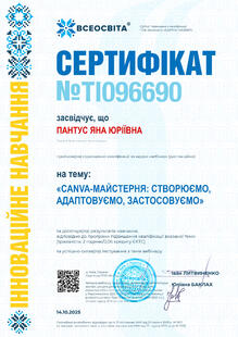№TI096690