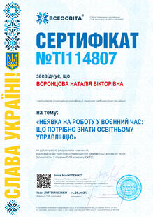 №TI114807