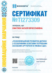 №TI273309