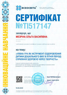 №TI517147
